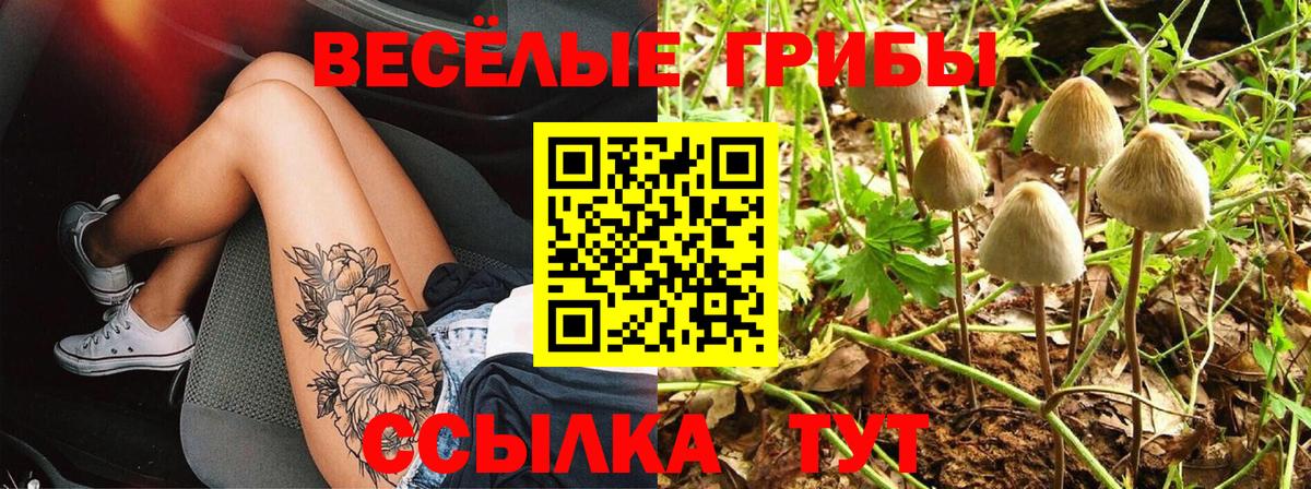 Псилоцибиновые грибы Magic Shrooms  Вход с VPN  продажа наркотиков  Псилоцибиновые грибы Magic Shrooms  Арсеньев 