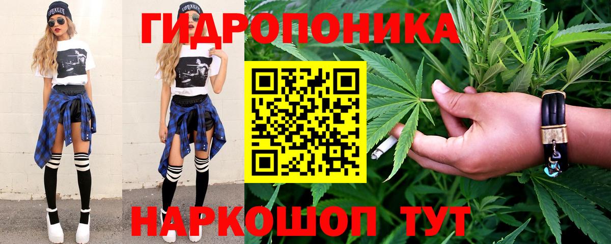 Бошки Шишки сатива Арсеньев